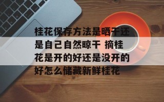 桂花保存方法是晒干还是自己自然晾干 摘桂花是开的好还是没开的好怎么储藏新鲜桂花