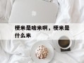 梗米是啥米啊，梗米是什么米