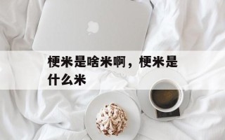 梗米是啥米啊，梗米是什么米