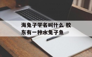 海兔子学名叫什么 胶东有一种水兔子鱼