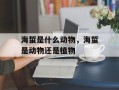 海蜇是什么动物，海蜇是动物还是植物