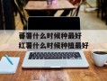 蕃薯什么时候种最好 红薯什么时候种植最好
