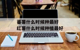 蕃薯什么时候种最好 红薯什么时候种植最好