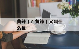 黄辣丁？黄辣丁又叫什么鱼