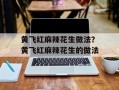 黄飞红麻辣花生做法？黄飞红麻辣花生的做法