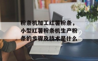 粉条机加工红薯粉条，小型红薯粉条机生产粉条的步骤及技术是什么