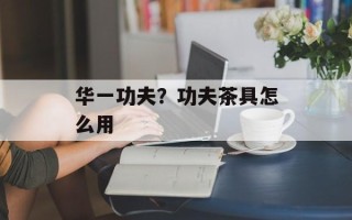 华一功夫？功夫茶具怎么用