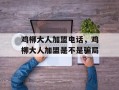 鸡柳大人加盟电话，鸡柳大人加盟是不是骗局