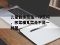 儿菜和榨菜是一种菜吗，榨菜和儿菜是不是一种菜