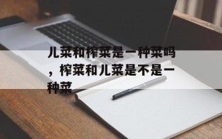 儿菜和榨菜是一种菜吗，榨菜和儿菜是不是一种菜