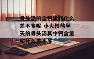 骨头汤的含钙量和什么差不多呢 小火慢熬半天的骨头汤其中钙含量和什么差不多