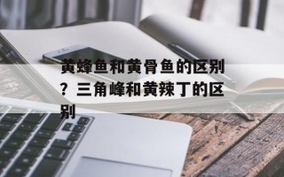黄蜂鱼和黄骨鱼的区别？三角峰和黄辣丁的区别