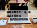 蕃茄酱英语怎么讲，蕃茄酱用英语说