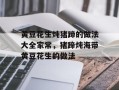 黄豆花生炖猪蹄的做法大全家常，猪蹄炖海带黄豆花生的做法