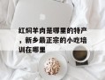 红焖羊肉是哪里的特产，新乡最正宗的小吃培训在哪里