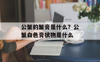 公蟹的蟹膏是什么？公蟹白色膏状物是什么
