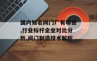 国内知名阀门厂有哪些,行业标杆企业对比分析,阀门制造技术解析