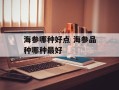 海参哪种好点 海参品种哪种最好