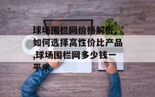 球场围栏网价格解析,如何选择高性价比产品,球场围栏网多少钱一平米
