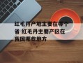红毛丹产地主要在哪个省 红毛丹主要产区在我国哪些地方