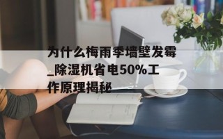 为什么梅雨季墙壁发霉_除湿机省电50%工作原理揭秘