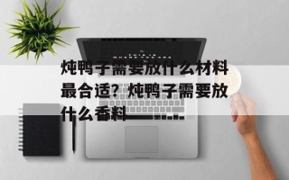 炖鸭子需要放什么材料最合适？炖鸭子需要放什么香料