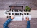 红焖羊排放什么调料最好吃 红焖羊肉正宗的做法