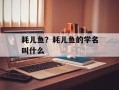 耗儿鱼？耗儿鱼的学名叫什么
