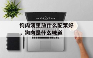 狗肉汤里放什么配菜好，狗肉是什么味道