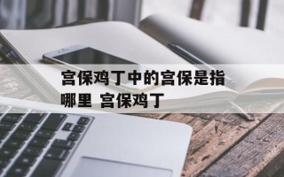 宫保鸡丁中的宫保是指哪里 宫保鸡丁