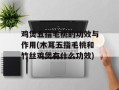 鸡煲五指毛桃的功效与作用(木耳五指毛桃和竹丝鸡煲有什么功效)