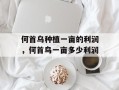 何首乌种植一亩的利润，何首鸟一亩多少利润