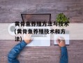 黄骨鱼养殖方法与技术(黄骨鱼养殖技术和方法)