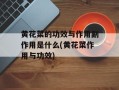 黄花菜的功效与作用副作用是什么(黄花菜作用与功效)