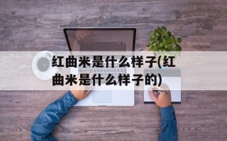 红曲米是什么样子(红曲米是什么样子的)
