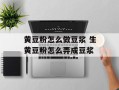 黄豆粉怎么做豆浆 生黄豆粉怎么弄成豆浆