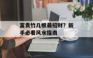 富贵竹几根最招财？新手必看风水指南