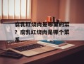 腐乳红烧肉是哪里的菜？腐乳红烧肉是哪个菜系