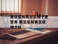 黑豆浆和黄豆浆哪个更营养 黑豆浆和黄豆浆哪个好