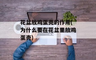 花盆放鸡蛋壳的作用(为什么要在花盆里放鸡蛋壳)