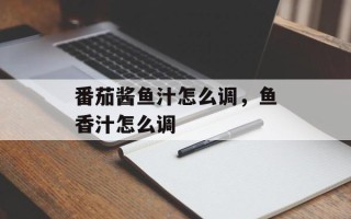 番茄酱鱼汁怎么调，鱼香汁怎么调
