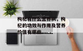 枸杞有什么营养啊，枸杞的功效与作用及营养价值有哪些
