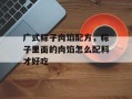 广式粽子肉馅配方，粽子里面的肉馅怎么配料才好吃