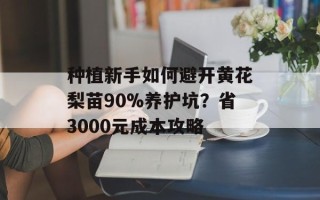 种植新手如何避开黄花梨苗90%养护坑？省3000元成本攻略
