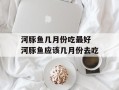 河豚鱼几月份吃最好 河豚鱼应该几月份去吃