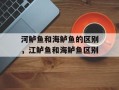 河鲈鱼和海鲈鱼的区别，江鲈鱼和海鲈鱼区别