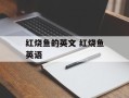 红烧鱼的英文 红烧鱼英语