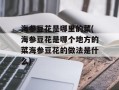 海参豆花是哪里的菜(海参豆花是哪个地方的菜海参豆花的做法是什么)