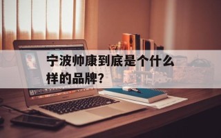 宁波帅康到底是个什么样的品牌？