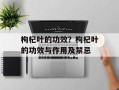 枸杞叶的功效？枸杞叶的功效与作用及禁忌